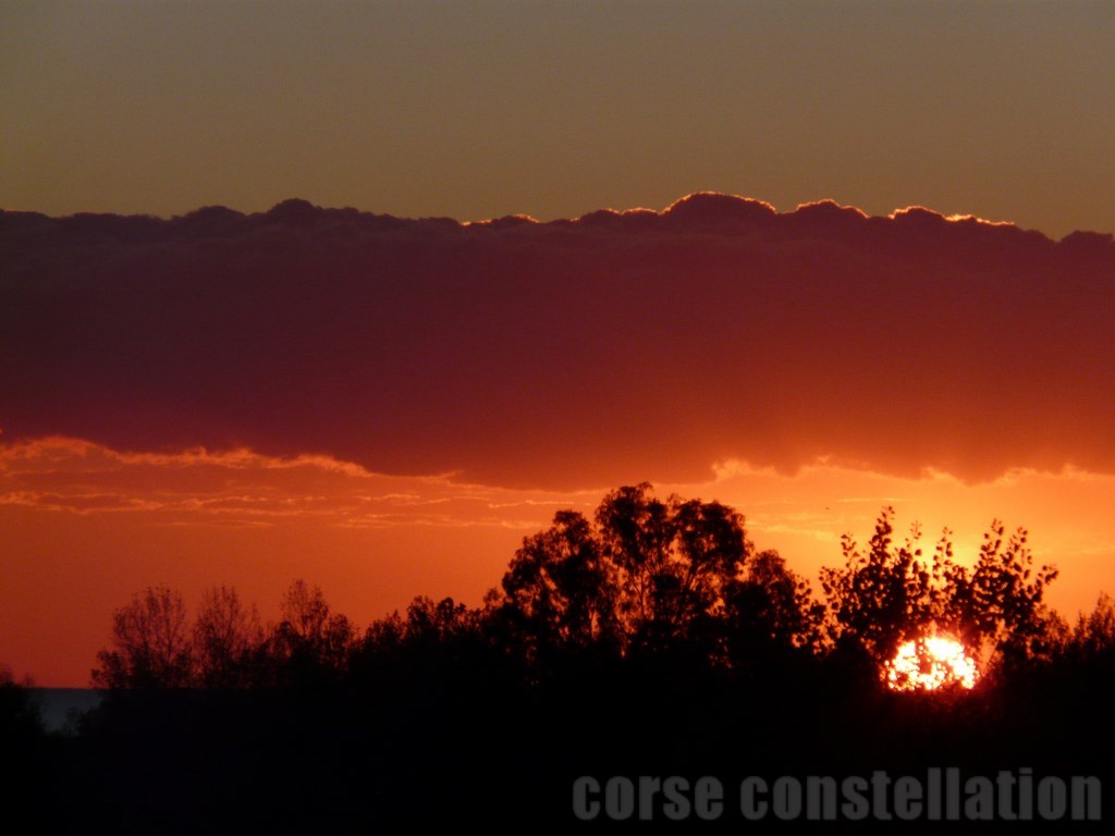 ​Feu de brousse solaire