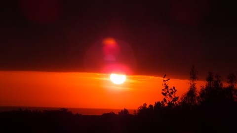Flambée matinale