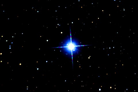 Véga : cliché pris à l'observatoire à Abbazia