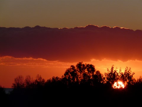 ​Feu de brousse solaire