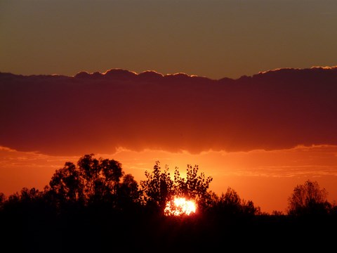 ​Feu solaire